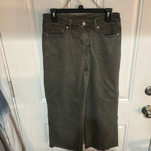 Judy blue green cropped jeans